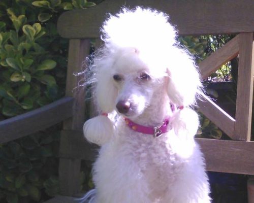 485180259_3512273635748496_8328149044337743474_n