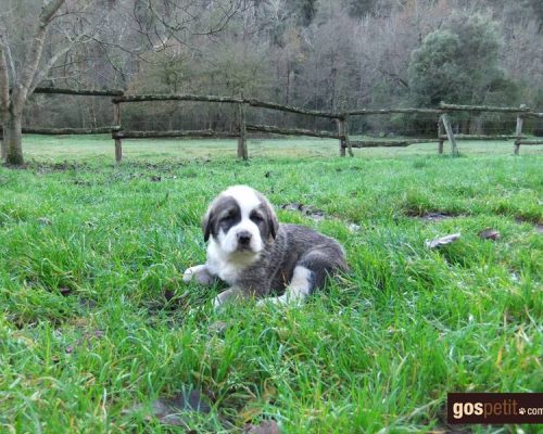 485362680_3512518679057325_8033237415861405269_n