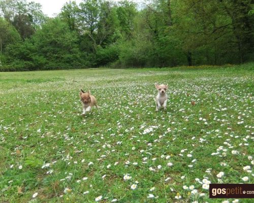 486520420_3517485418560651_3965700597226526519_n