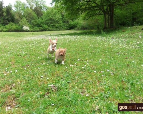 486644347_3517485171894009_5277117502478077686_n